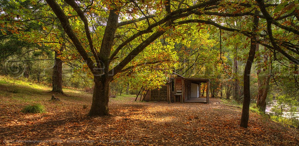 Peter Bellingham Photography Howqua Solitude - VIC T (PBH4 00 13792)